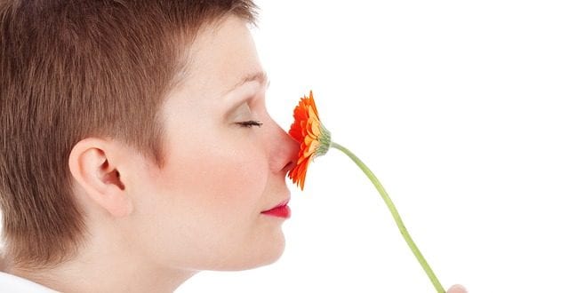 The importance of the sense of smell